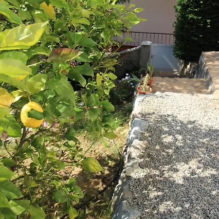 6020 Martin, Casa Con Intimidad, Maravillosa Vista Panoramica A Canyelles Petites, Zona Muy Tranquila En La Colina, Jardin Con Zona Chill-out. A.a. Parking - Es-258-82 * Roses